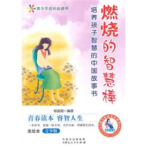 青少年成长必读书-燃烧的智慧棒-技术教育社区