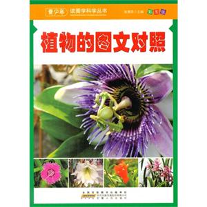 【四色】青少年读图学科学丛书-植物的图文对照/新-技术教育社区