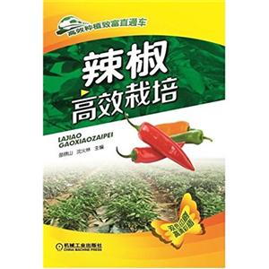 辣椒高效栽培-技术教育社区