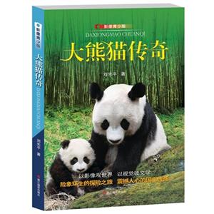 大熊猫传奇-影像青少版-技术教育社区