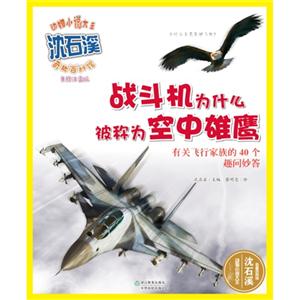 战斗机为什么被称为空中雄鹰-美绘注音版-技术教育社区