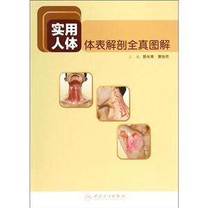 实用人体体表解剖全真图解-技术教育社区