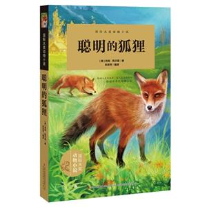 聪明的狐狸-技术教育社区