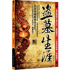 盗墓生涯-技术教育社区