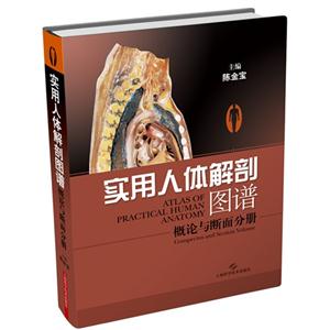 概论与断面分册-实用人体解剖图谱-技术教育社区