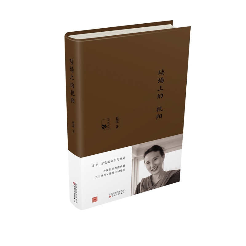 矮墙上的艳阳