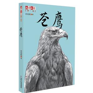 《儿童文学》伴侣——苍鹰-技术教育社区