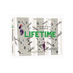 一生-动物生命中的神奇数字-技术教育社区