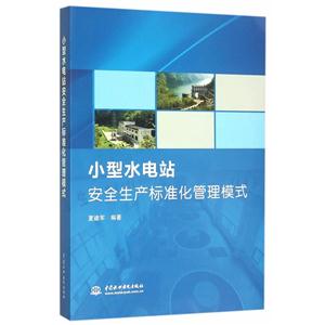 小型水电站安全生产标准化管理模式-技术教育社区