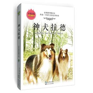神犬拉德-技术教育社区