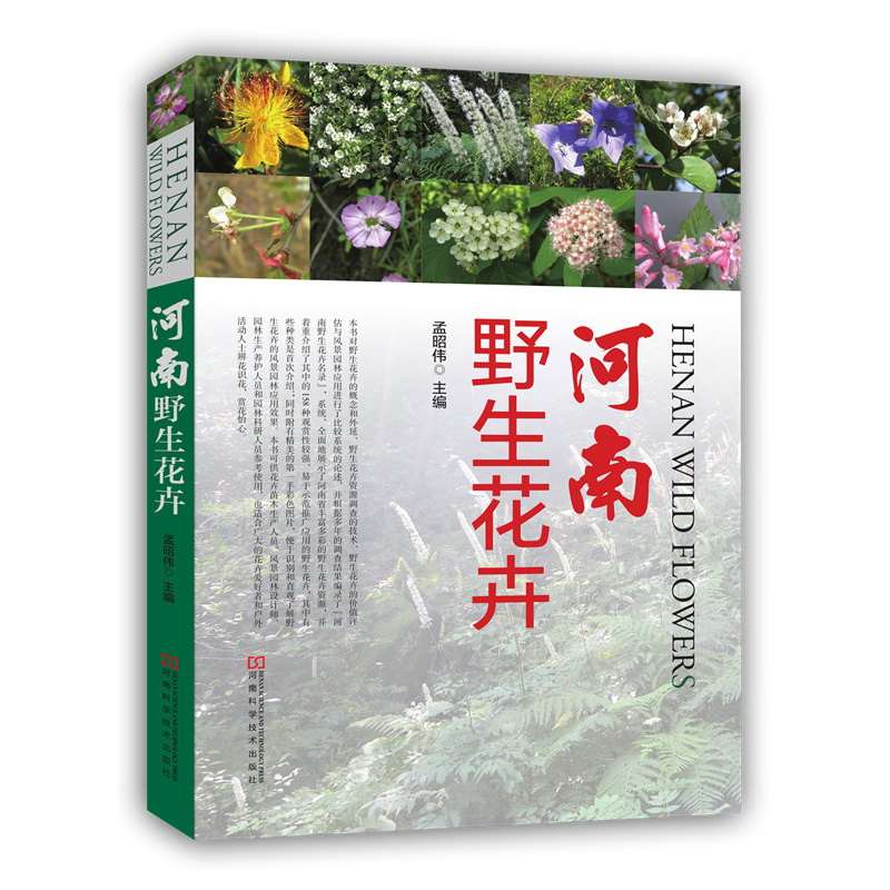 河南野生花卉