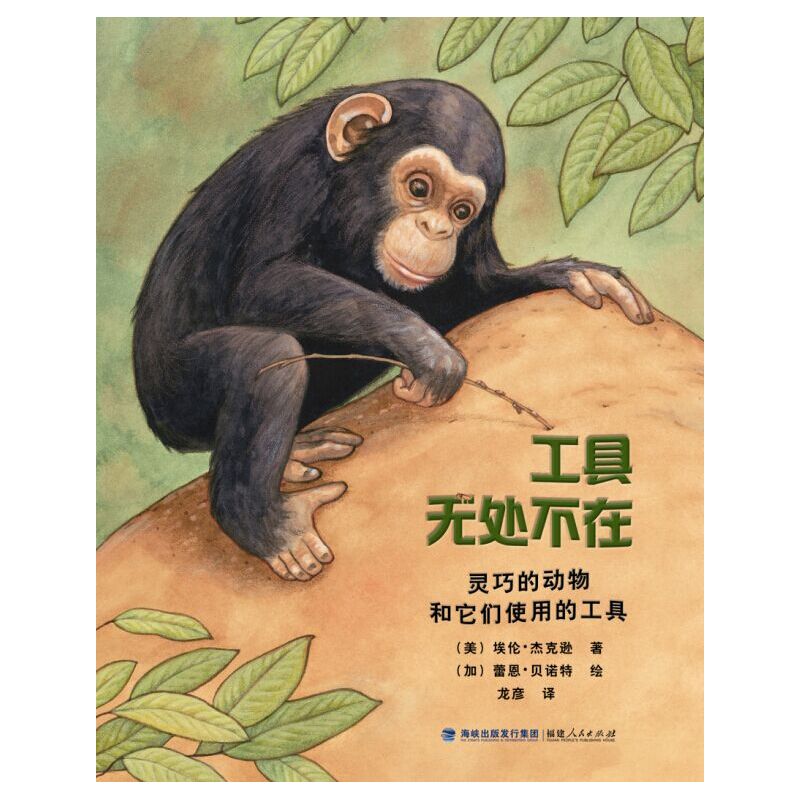 工具无处不在-灵巧的动物和它们使用的工具