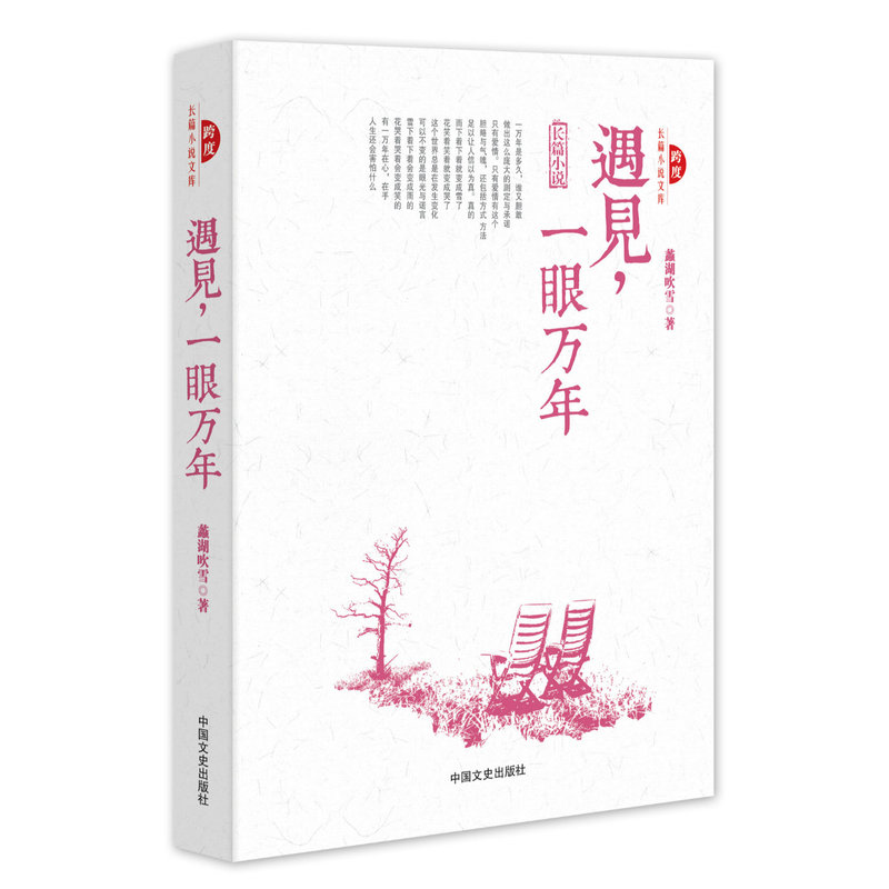 跨度 长篇小说 遇见一眼万年