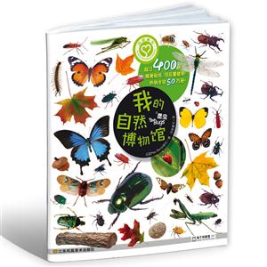 昆虫-我的自然博物馆-技术教育社区