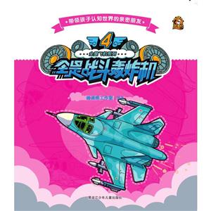 全是战斗轰炸机-全是飞机系列-4-技术教育社区