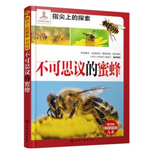 不可思议的蜜蜂-技术教育社区