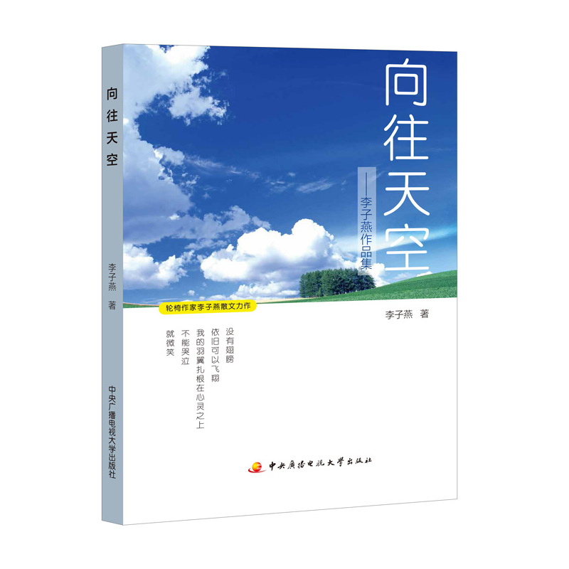 向往天空-李子燕作品集