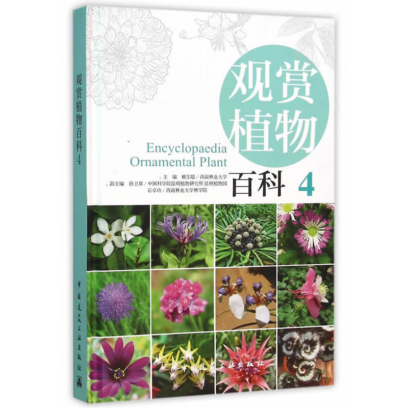 观赏植物百科-4