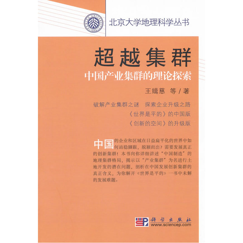 超越集群:中国产业集群的理论探索