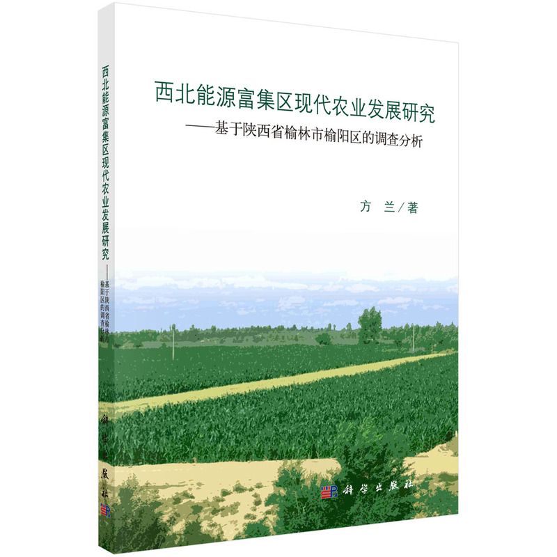 西北能源富集区现代农业发展研究-基于陕西省榆林市榆阳区的调查分析