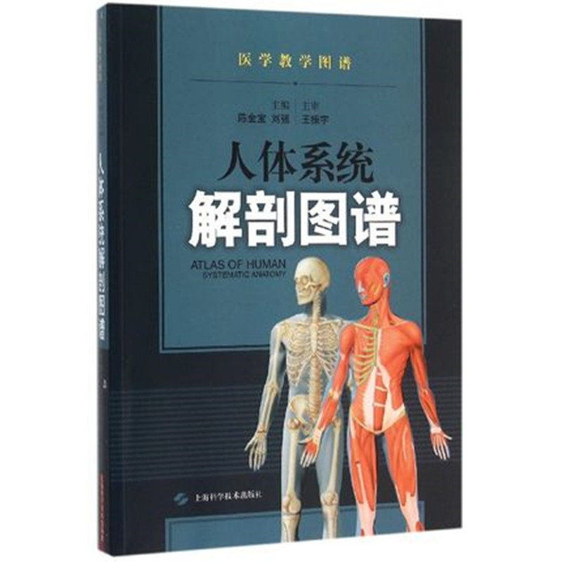 人体系统解剖图谱