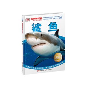 鲨鱼-DK视觉大发现-技术教育社区