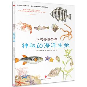 神秘的海洋生物-水边的自然课-技术教育社区