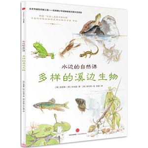 多样的溪边生物-水边的自然课-技术教育社区