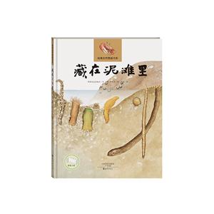 藏在泥滩里-技术教育社区