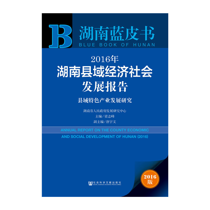 2016年湖南县域经济社会发展报告:县域城乡一体化发展研究