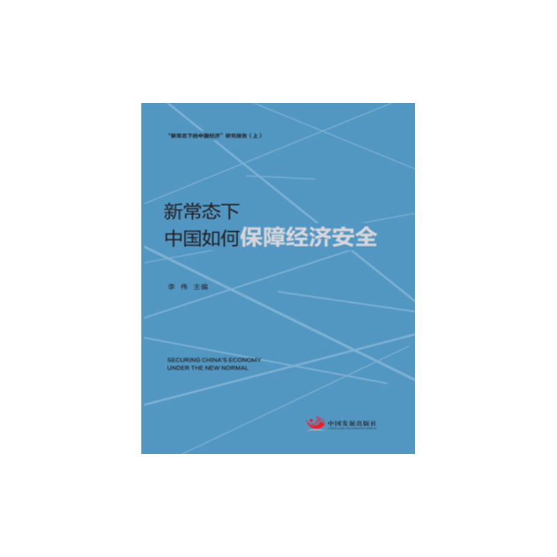 新常态下中国如何保障经济安全-新常态下的中国经济研究报告-(上)