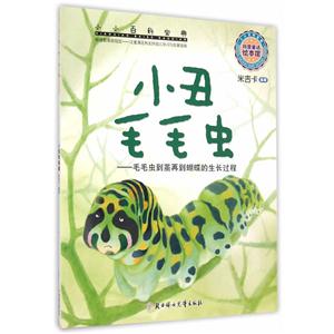 小丑毛毛虫-毛毛虫到茧再到蝴蝶的生长过程-技术教育社区