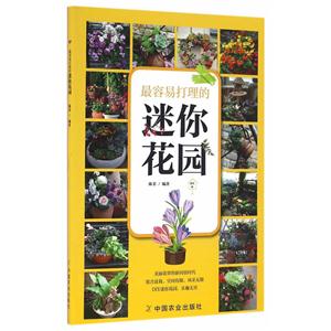 最容易打理的迷你花园-技术教育社区