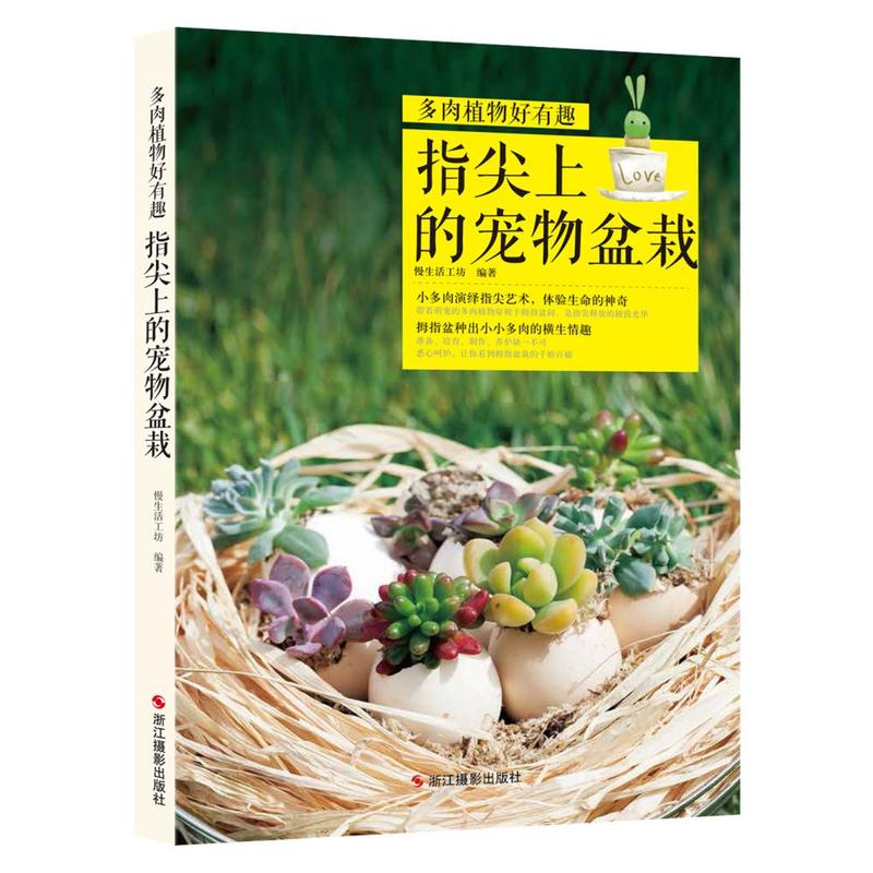 指尖上的宠物盆栽-多肉植物好有趣