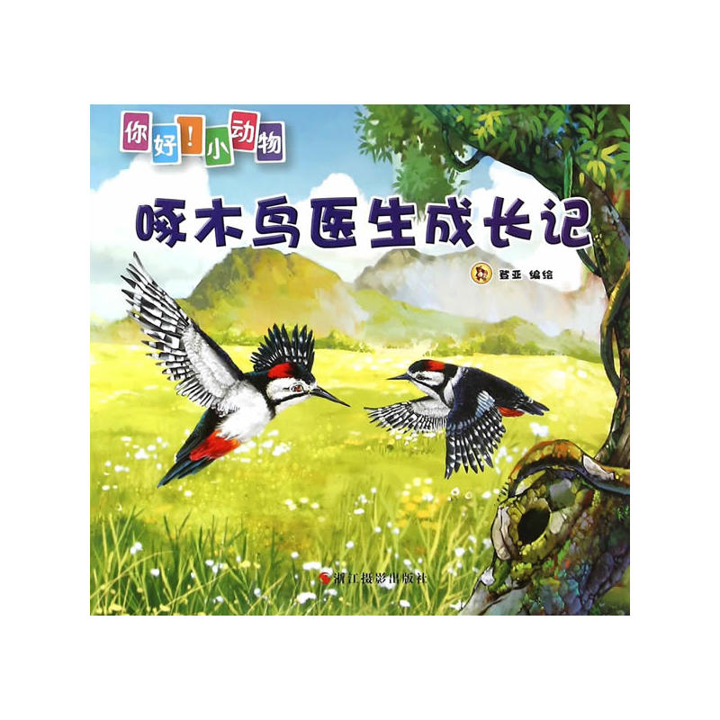 啄木鸟医生成长记