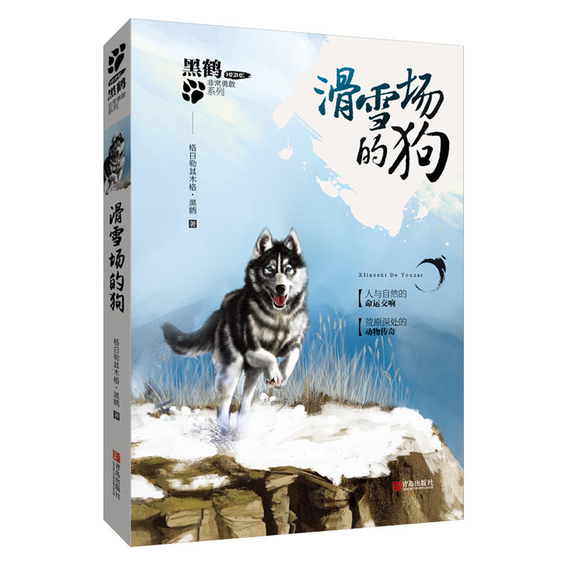 滑雪场的狗
