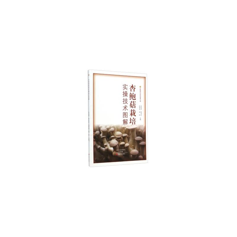 杏鲍菇栽培实操技术图解