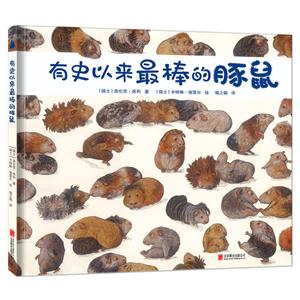 有史以来最棒的豚鼠-技术教育社区