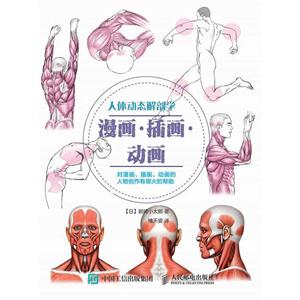 人体动态解剖学漫画.插画.动画-技术教育社区