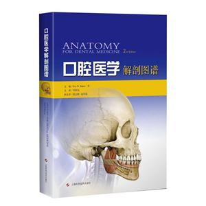 口腔医学解剖图谱-技术教育社区