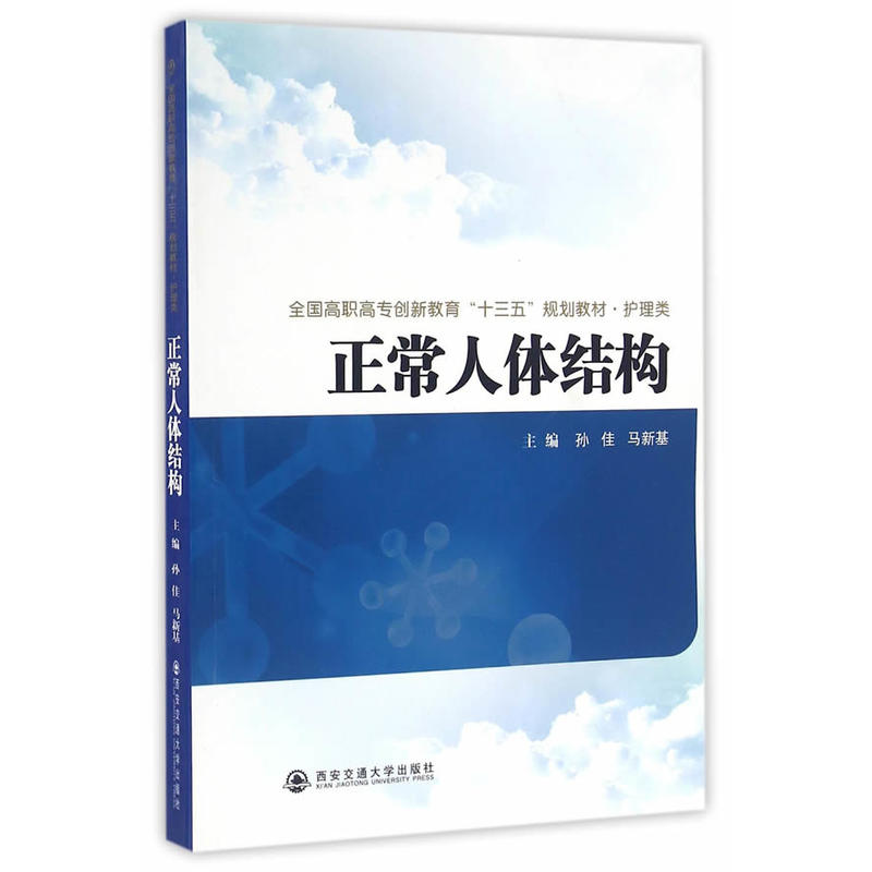 正常人体结构