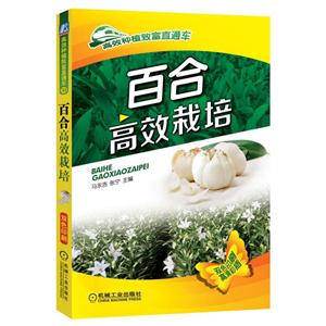 百合高效栽培-技术教育社区