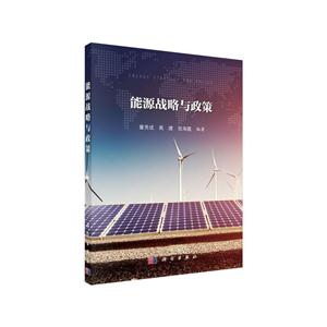 能源战略与政策-技术教育社区