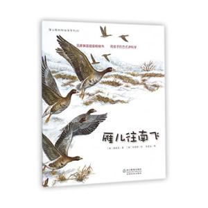 雁儿往南飞-技术教育社区