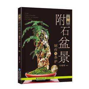 图解附石盆景制作与养护-彩图版-技术教育社区