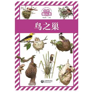 鸟之巢-自然趣玩屋-技术教育社区