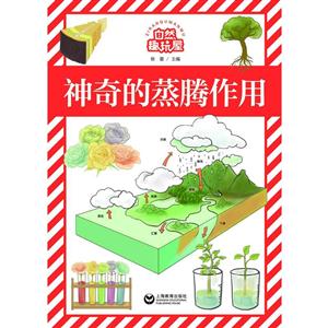 神奇的蒸腾作用-自然趣玩屋-技术教育社区