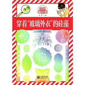 穿着玻璃外衣的硅藻-自然趣玩屋-技术教育社区