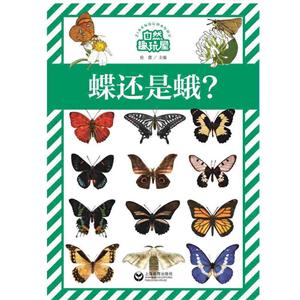 蝶还是蛾?-自然趣玩屋-技术教育社区
