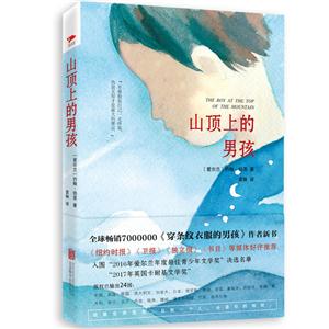 山顶上的男孩-技术教育社区